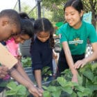 FoodCorps service member works with students in the garden